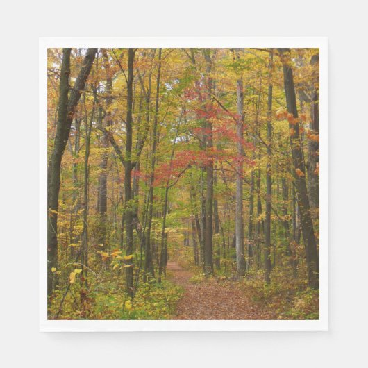 Laurel Hill Trail in de herfst Servetten (Voorkant)