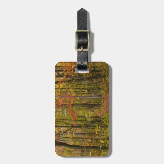 Laurel Hill Trail in Herfst Bagagelabel (Voorkant verticaal)