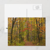 Laurel Hill Trail in Herfst Briefkaart (Voorkant / Achterkant)