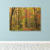 Laurel Hill Trail in Herfst Canvas Afdruk (Insitu (Houten vloer))