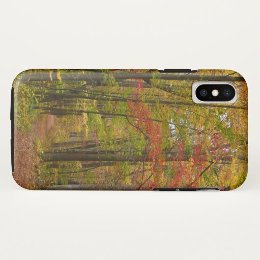 Laurel Hill Trail in Herfst Case-Mate iPhone Case (Achterkant (horizontaal))