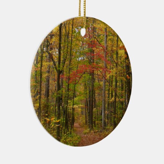 Laurel Hill Trail in Herfst Keramisch Ornament (Rechts)