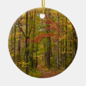 Laurel Hill Trail in Herfst Keramisch Ornament (Voorkant)