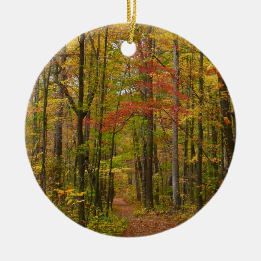 Laurel Hill Trail in Herfst Keramisch Ornament (Voorkant)