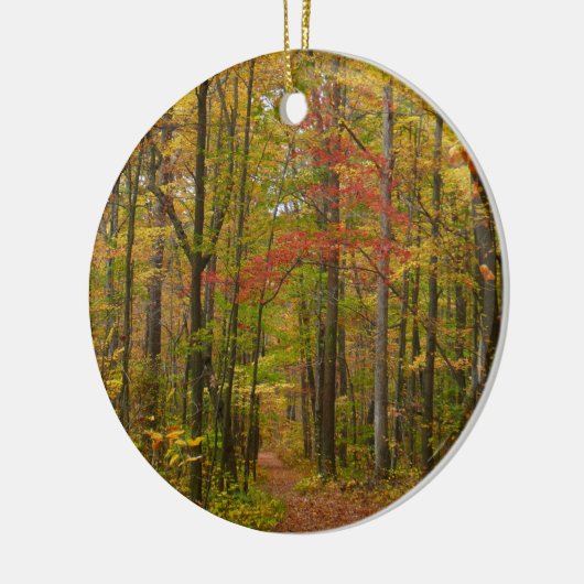 Laurel Hill Trail in Herfst Keramisch Ornament (Links)