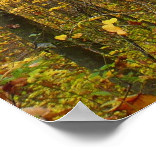 Laurel Hill Trail in Herfst Poster (Hoek)