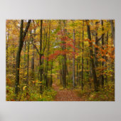 Laurel Hill Trail in Herfst Poster (Voorkant)
