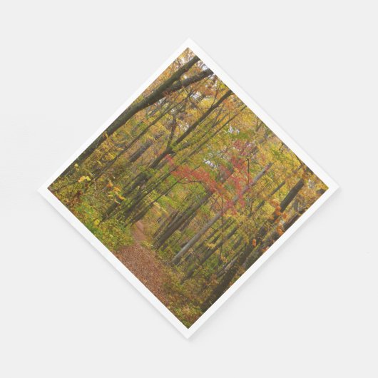 Laurel Hill Trail in Herfst Servetten (Hoek)