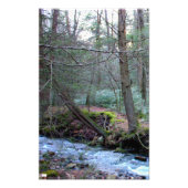 Laurel Run 2 Foto afdrukken (Voorkant)