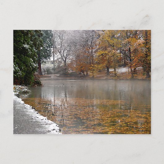 Laurelhurst Pond Briefkaart (Voorkant)