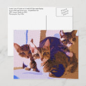 Laurie, Larry en Louie Aankondigingskaart (Voorkant / Achterkant)