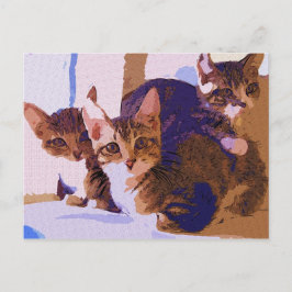 Laurie, Larry en Louie Aankondigingskaart