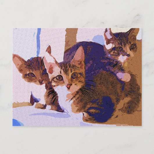 Laurie, Larry en Louie Aankondigingskaart (Voorkant)