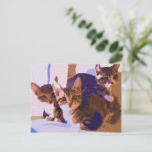 Laurie, Larry en Louie Aankondigingskaart (Staand voorkant)