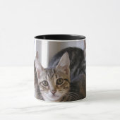 Laurie, Larry en Louie Mok (Midden)