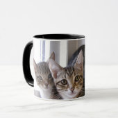 Laurie, Larry en Louie Mok (Voorkant links)