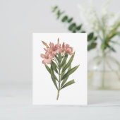 laurier roos (Nerium sp.) van Redouté Briefkaart (Staand voorkant)