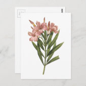 laurier roos (Nerium sp.) van Redouté Briefkaart (Voorkant / Achterkant)