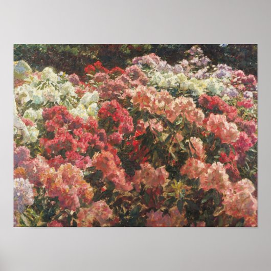 Laurits Tuxen - Rhododendron in Tuxen's tuin Poster (Voorkant)
