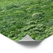 Lauterbrunnen Poster (Hoek)