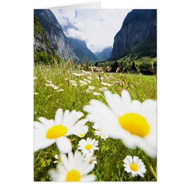 Lauterbrunnen, Zwitserland (Voorkant)
