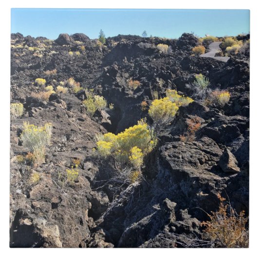 Lava Butte Trail, OF Tegeltje (Voorkant)