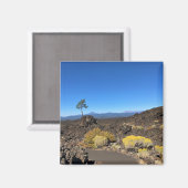 Lava Butte Trail, Oregon Magneet (Voorkant / Achterkant)