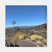 Lava Butte Trail, Oregon Magneet (Voorkant)