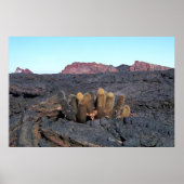 Lava Cacti Poster (Voorkant)