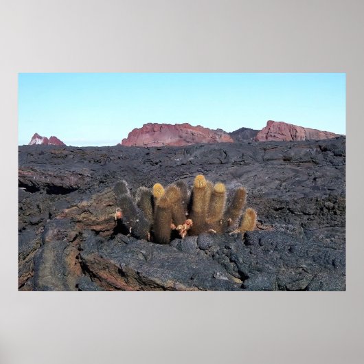Lava Cacti Poster (Voorkant)