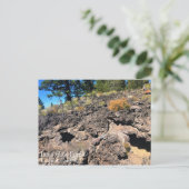 Lava Cast Forest, Oregon Briefkaart (Staand voorkant)