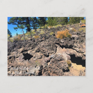 Lava Cast Forest, Oregon Briefkaart