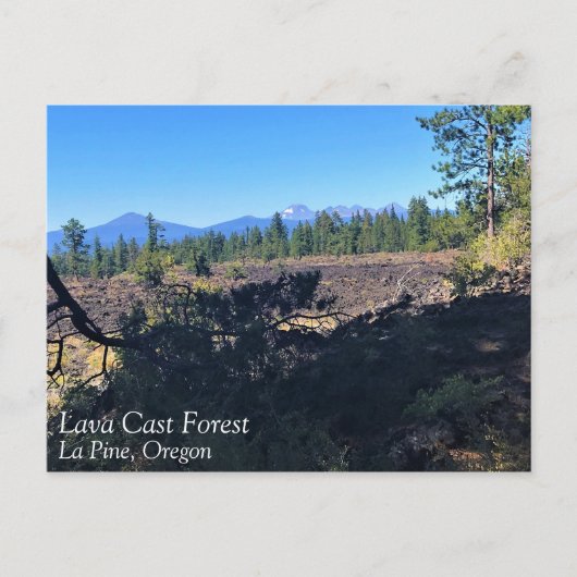 Lava Cast Forest, Oregon Briefkaart (Voorkant)