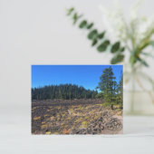Lava Cast Forest, Oregon Briefkaart (Staand voorkant)