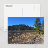 Lava Cast Forest, Oregon Briefkaart (Voorkant / Achterkant)