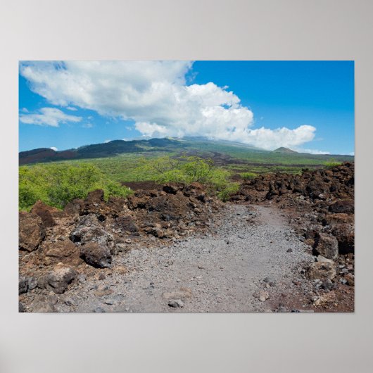 lava en berglandschap langs Hoapili Trail Poster (Voorkant)