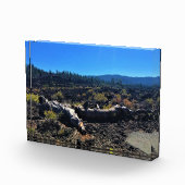 Lava Gast Forest, OF Fotoblokken (Rechts)
