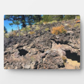 Lava Gast Forest, OF Fotoplaat (voorkant)