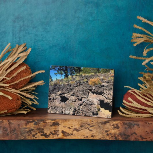 Lava Gast Forest, OF Fotoplaat (Zijkant)