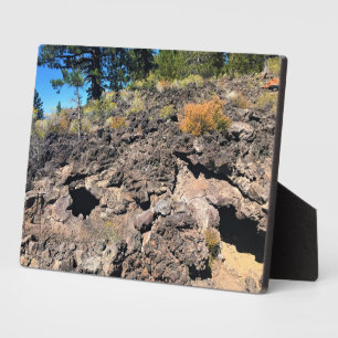 Lava Gast Forest, OF Fotoplaat