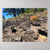 Lava Gast Forest, OF Poster (Voorkant)