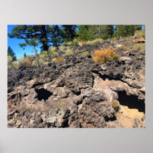 Lava Gast Forest, OF Poster