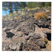 Lava Gast Forest, OF Tegeltje (Voorkant)