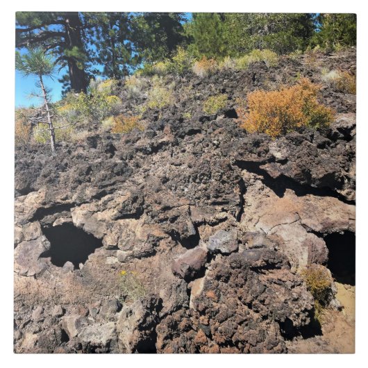 Lava Gast Forest, OF Tegeltje (Voorkant)