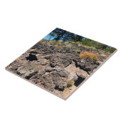 Lava Gast Forest, OF Tegeltje (Zijkant)