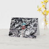 Lava Stop, Hawaï - Kaart (Gele Bloem)