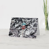 Lava Stop, Hawaï - Kaart (Voorkant)