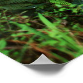 lava tube kilauea krater grote vulkaan poster (Hoek)