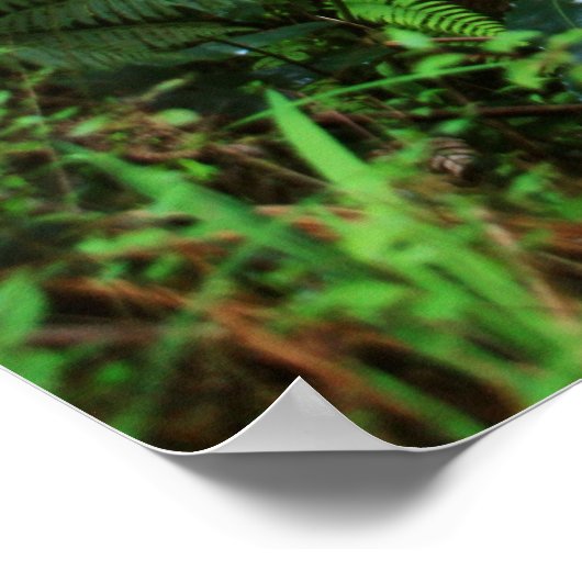 lava tube kilauea krater grote vulkaan poster (Hoek)