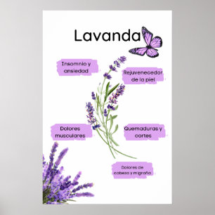 Lavanda y sus Beneficios en español Poster